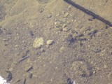 DSC01462.JPG