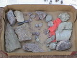 DSC00063.JPG