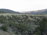 DSC00057.JPG