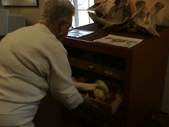 DSC00021.JPG