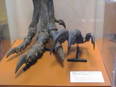 DSC00012.JPG