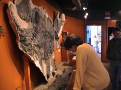 DSC00032.JPG