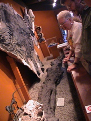 DSC00034.JPG