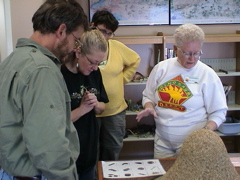 DSC00013.JPG