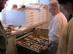 DSC00045.JPG