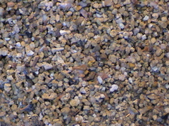 DSC00014.JPG