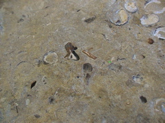 DSC00018.JPG