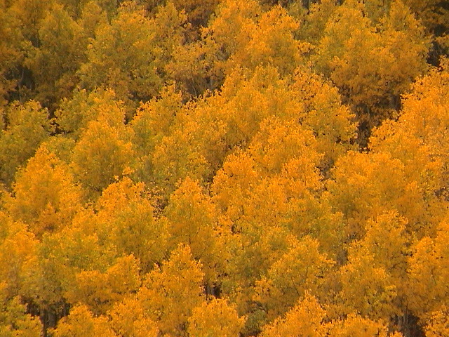 DSC00026.JPG