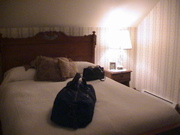 DSC00017.JPG