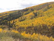 DSC00024.JPG