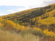 DSC00025.JPG