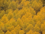 DSC00026.JPG
