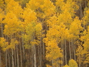 DSC00027.JPG