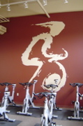 DSC02260.JPG