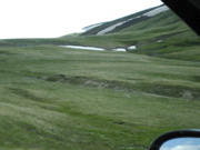 Picture 014