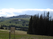 Picture 016