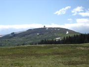 Picture 017
