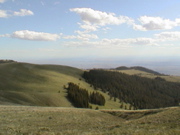 DSC00110.JPG