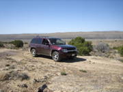 Picture 025