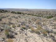 Picture 026