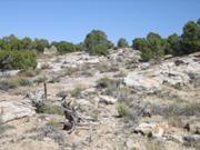 Picture 027