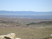 Picture 053
