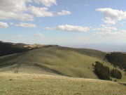 DSC00111.JPG