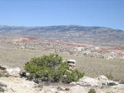 Picture 060