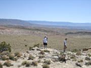 Picture 061