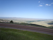 Picture 005
