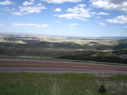 Picture 006