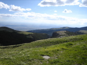 Picture 007