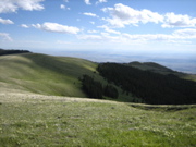 Picture 008