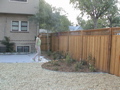 DSC00046.JPG