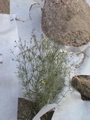 DSC00048.JPG