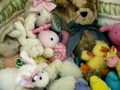 DSC00060.JPG