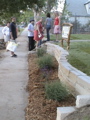DSC00037.JPG