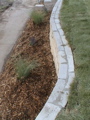 DSC00040.JPG