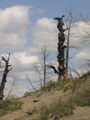 2006_WY 026