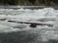 2006_WY 035