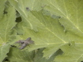 2006_WY 036