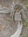 2006_WY 037