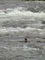 2006_WY 038