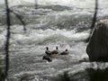 2006_WY 039