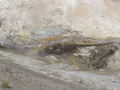 2006_WY 040