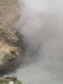 2006_WY 041