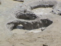 2006_WY 043