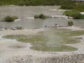 2006_WY 044