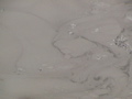 2006_WY 046