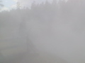 2006_WY 053